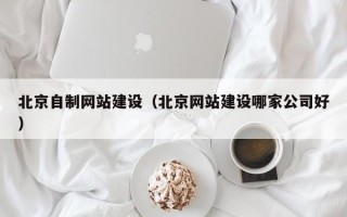 舟山北京自制网站建设（北京网站建设哪家公司好）