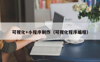 舟山可视化+小程序制作（可视化程序编程）